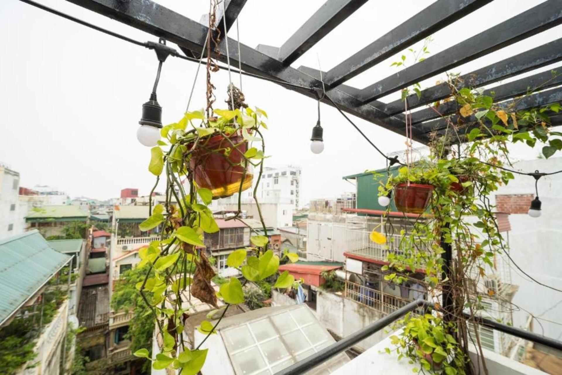 Ubuntu Hostel And Tour - 139 Hang Bac 河内 外观 照片